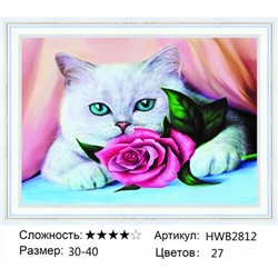 AM34 HWB2812, 30х40 см