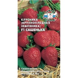 Земляника Сашенька F1 (Код: 9479)