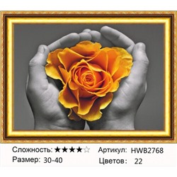 AM34 HWB2768, 30х40 см