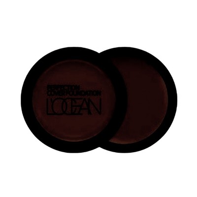 L’ocean Консилер / Perfection Cover Foundation #43 Mud brown, 16 г