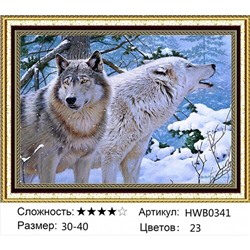 AM34 HWB0341, 30х40 см