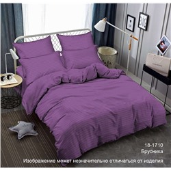 Постельное белье из страйп-сатина "Мирослава" 1,5 сп. (нав. 70*70 диз.: Брусника)