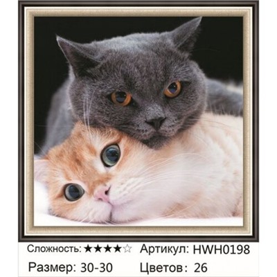 AM33 HWH0198, 30х30 см