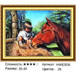 AM34 HWB2836, 30х40 см