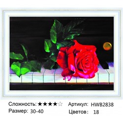 AM34 HWB2838, 30х40 см