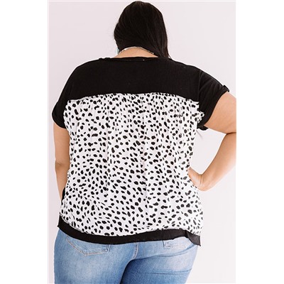 Black Plus Size Cheetah Back Rolled Cuffs T-shirt