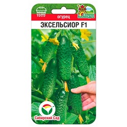 Огурец Эксельсиор F1 (Код: 92062)