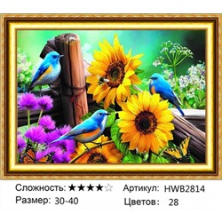 AM34 HWB2814, 30х40 см