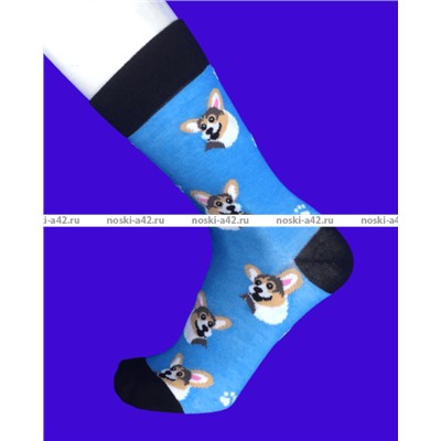 Nice Socks (AMIGOBS) ЦВЕТНЫЕ ВЫСОКИЕ НОСКИ на вешалке арт. 2208