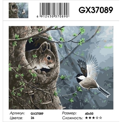 РН GX37089, 40х50 см